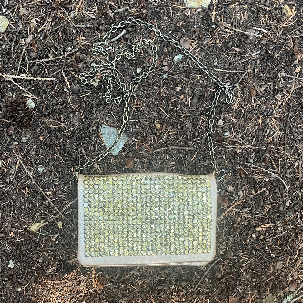 Street Level Shoulder Bag/Clutch